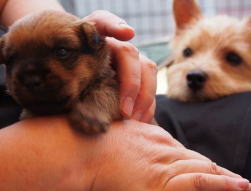 ������j�C���[�W