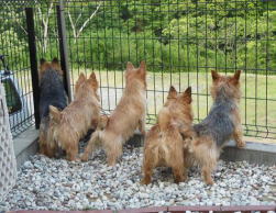 �̌��w�K�C���[�W